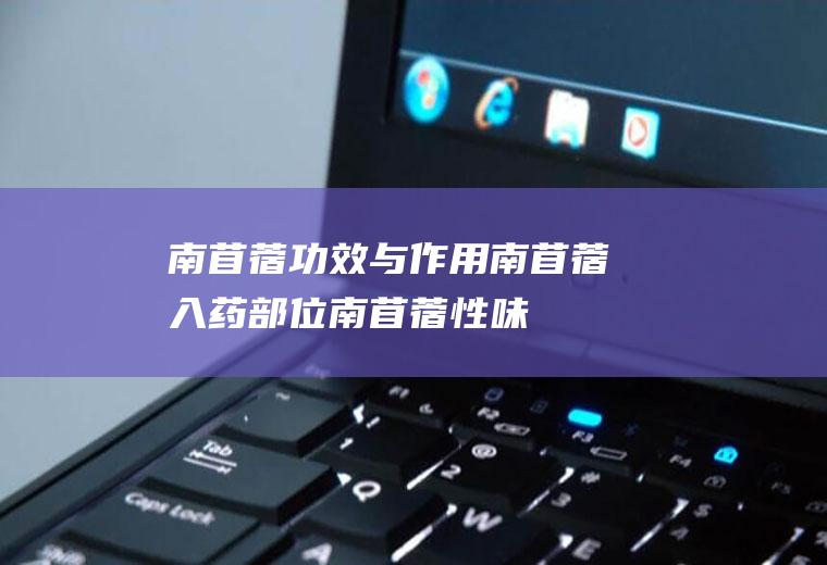 南苜蓿功效与作用_南苜蓿入药部位_南苜蓿性味_主治_相关配伍_用法用量_使用注意