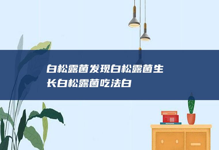 白松露菌发现_白松露菌生长_白松露菌吃法_白松露菌味道