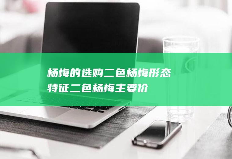 杨梅的选购_二色杨梅形态特征_二色杨梅主要价值