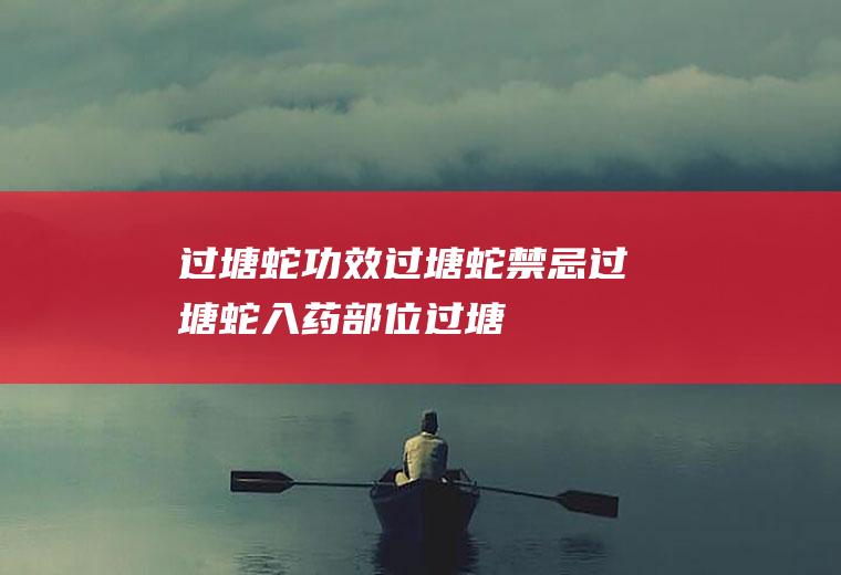 过塘蛇功效_过塘蛇禁忌_过塘蛇入药部位_过塘蛇性味