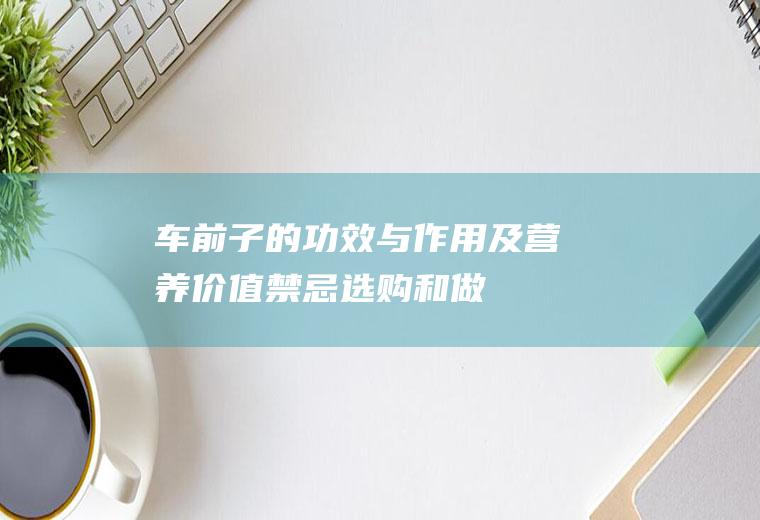 车前子的功效与作用及营养价值_禁忌_选购和做法
