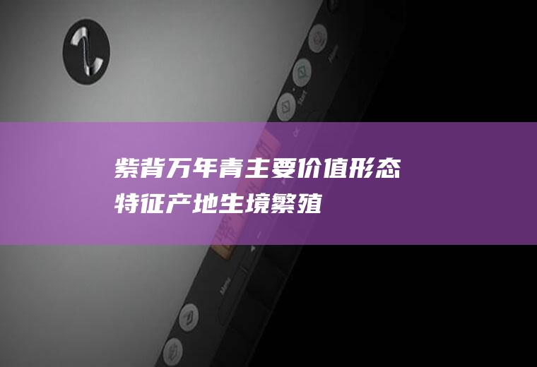 紫背万年青主要价值_形态特征_产地生境_繁殖方法_栽培技术
