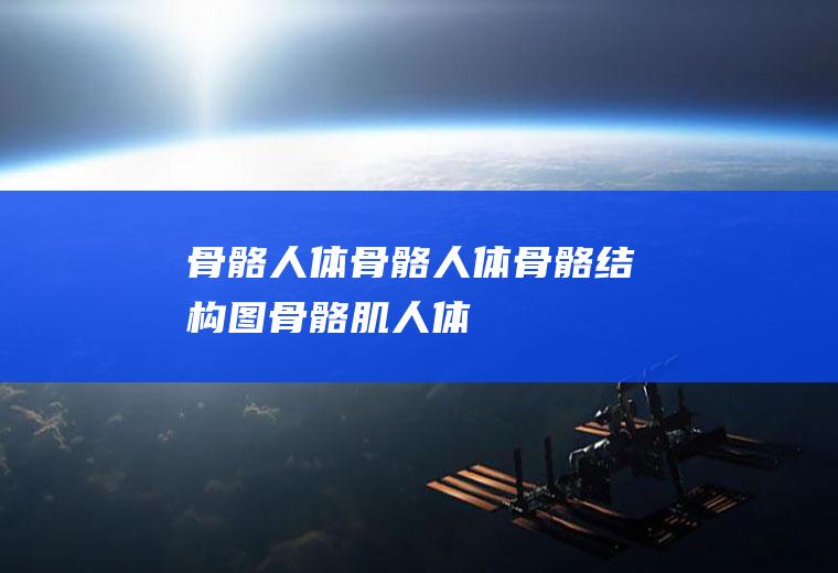 骨骼_人体骨骼,人体骨骼结构图,骨骼肌,人体骨骼图,骨骼闭合,骨骼炎