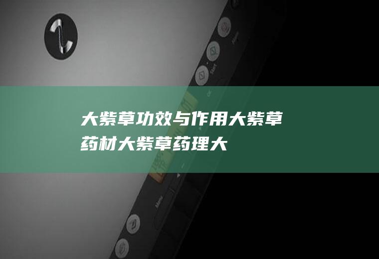大紫草功效与作用_大紫草药材_大紫草药理_大紫草毒性