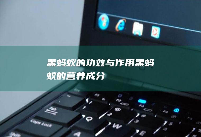 黑蚂蚁的功效与作用_黑蚂蚁的营养成分