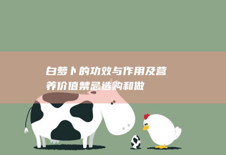 白萝卜的功效与作用及营养价值_禁忌_选购和做法