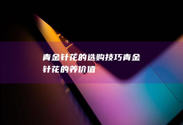 青金针花的选购技巧_青金针花的养价值