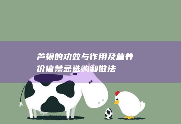 芦根的功效与作用及营养价值_禁忌_选购和做法