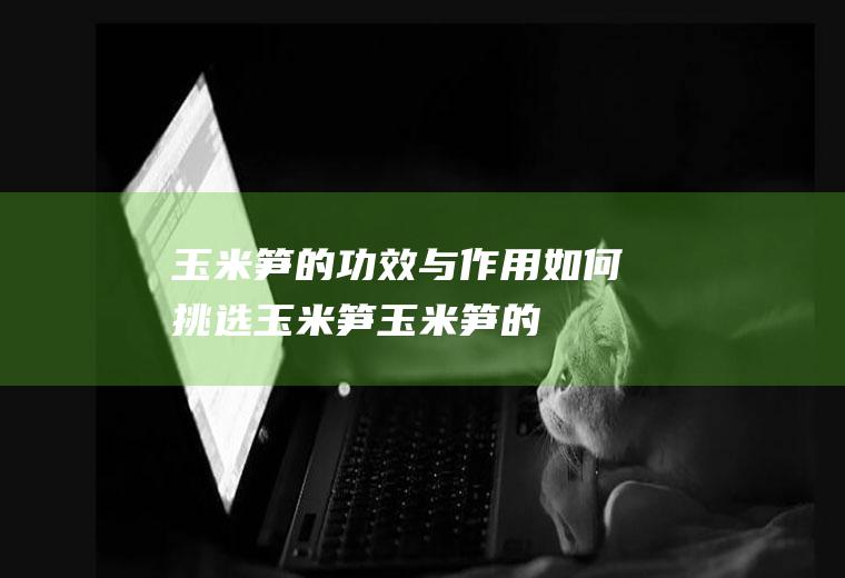 玉米笋的功效与作用_如何挑选玉米笋_玉米笋的制作技巧