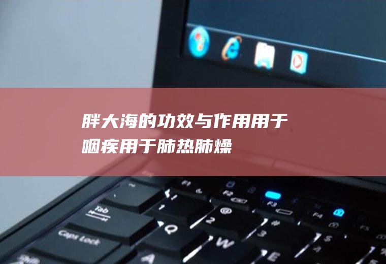 胖大海的功效与作用_用于咽疾_用于肺热、肺燥咳嗽
