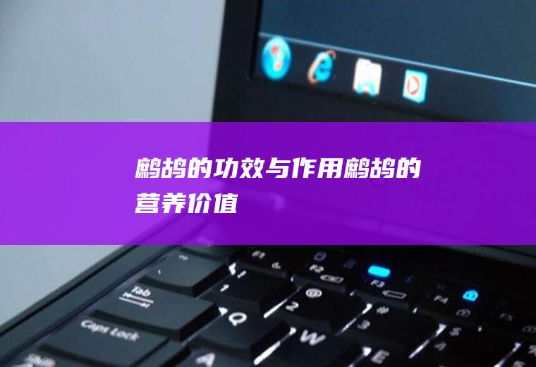鹧鸪的功效与作用鹧鸪的营养价值