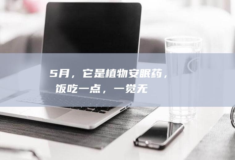 5月，它是“植物安眠药”，晚饭吃一点，一觉无梦到天亮！|荠菜|饺子|肉馅|野菜