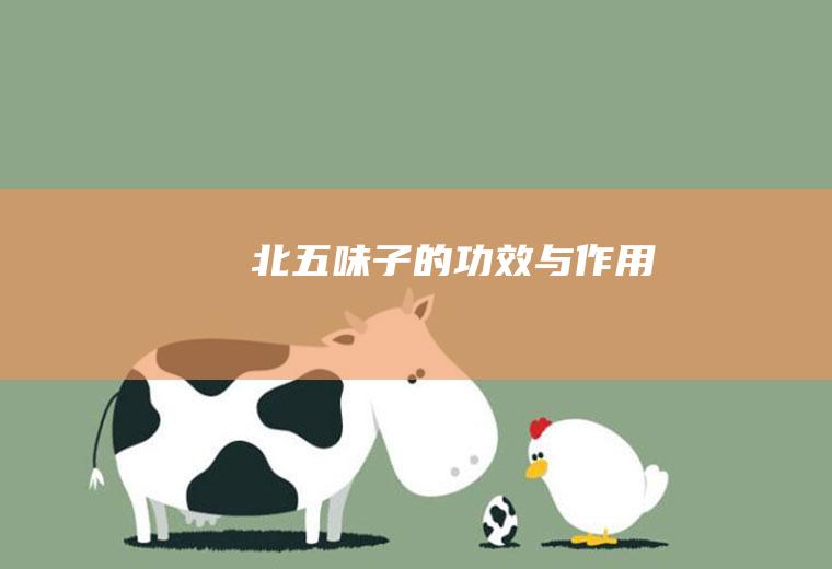 北五味子的功效与作用