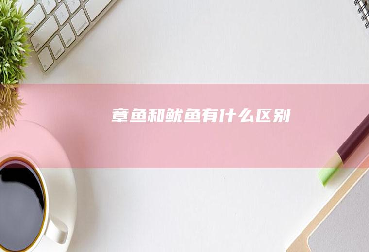 章鱼和鱿鱼有什么区别
