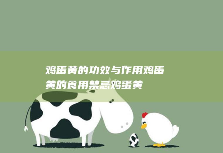 鸡蛋黄的功效与作用_鸡蛋黄的食用禁忌_鸡蛋黄的制作技巧
