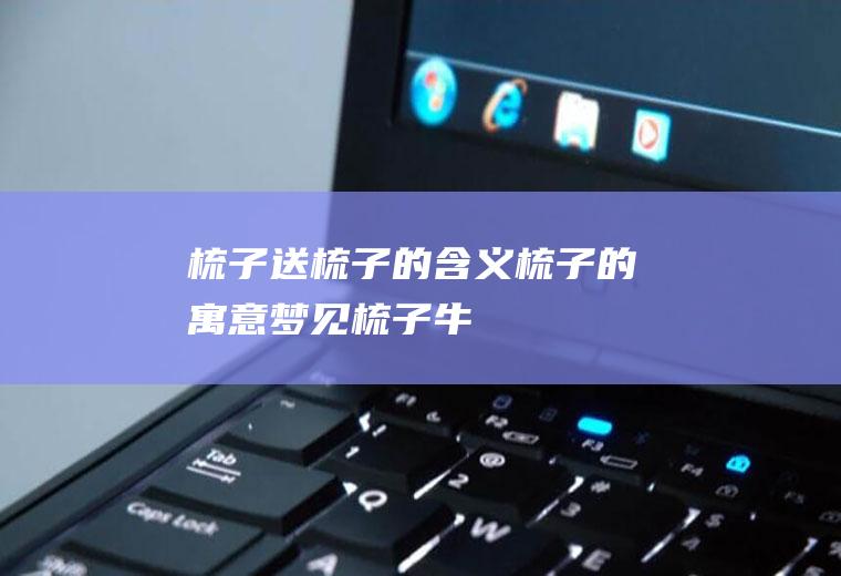 梳子_送梳子的含义,梳子的寓意,梦见梳子,牛角梳子