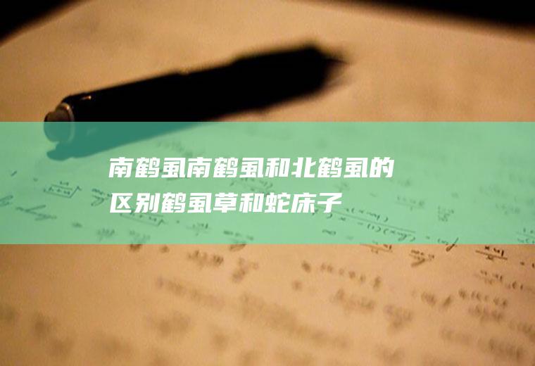 南鹤虱_南鹤虱和北鹤虱的区别_鹤虱草和蛇床子的区别