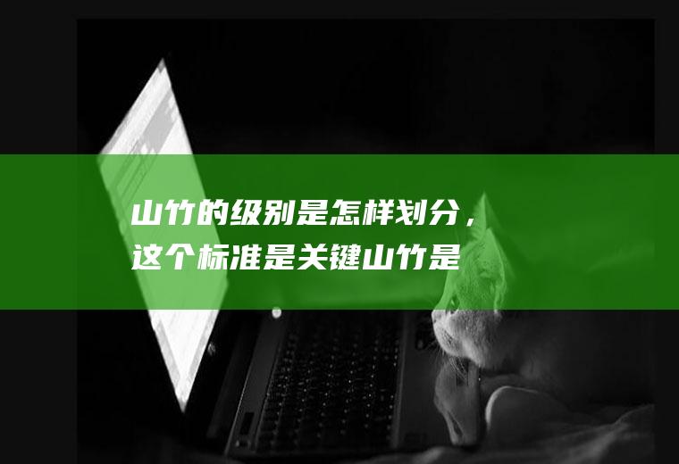山竹的级别是怎样划分，这个标准是关键(山竹是多少级台风)