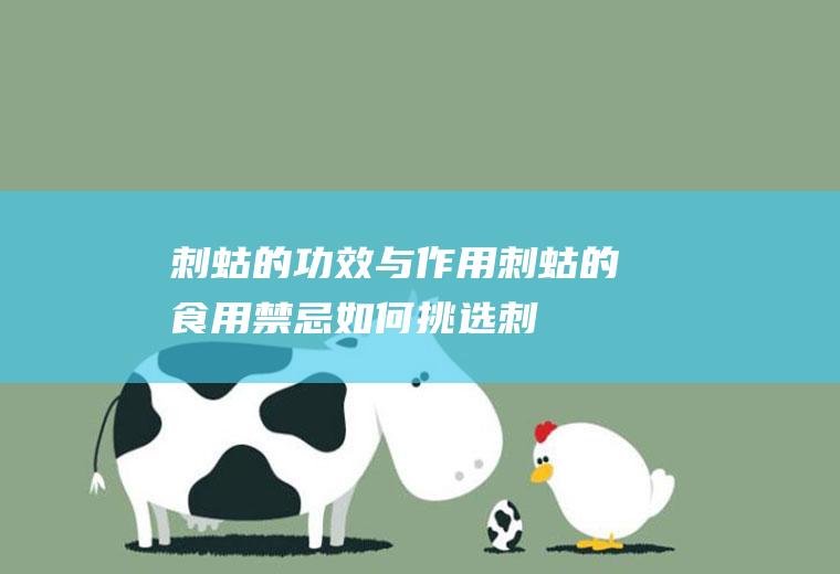 刺蛄的功效与作用_刺蛄的食用禁忌_如何挑选刺蛄_制作技巧