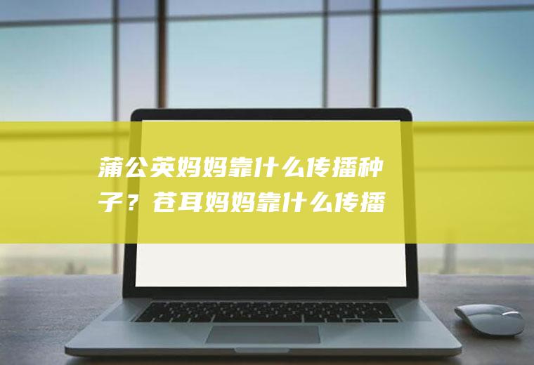 蒲公英妈妈靠什么传播种子？苍耳妈妈靠什么传播种子？豌豆妈妈靠什么传播种子？
