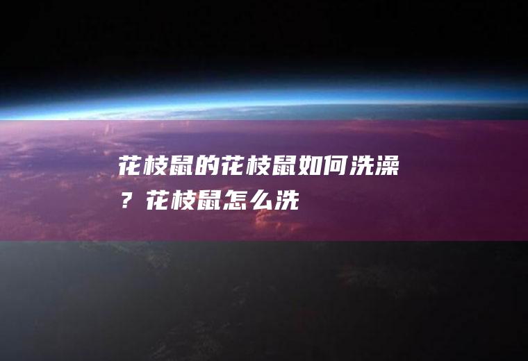 花枝鼠的花枝鼠如何洗澡？(花枝鼠怎么洗)
