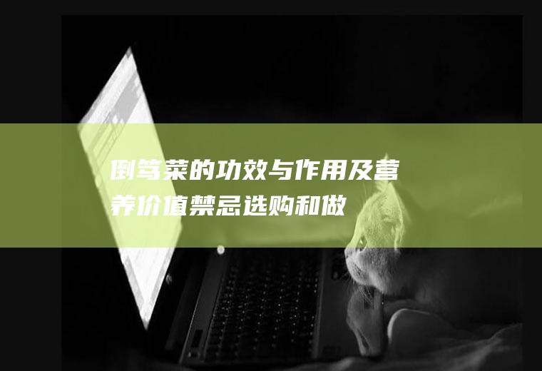 倒笃菜的功效与作用及营养价值_禁忌_选购和做法