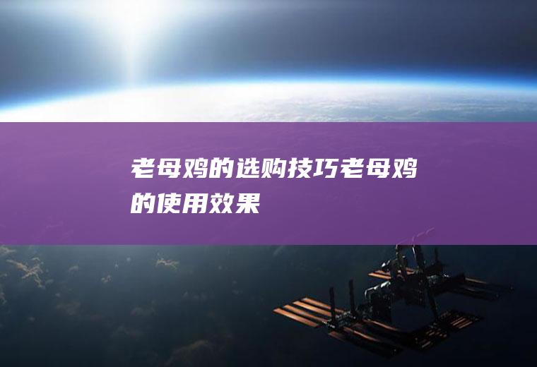 老母鸡的选购技巧_老母鸡的使用效果