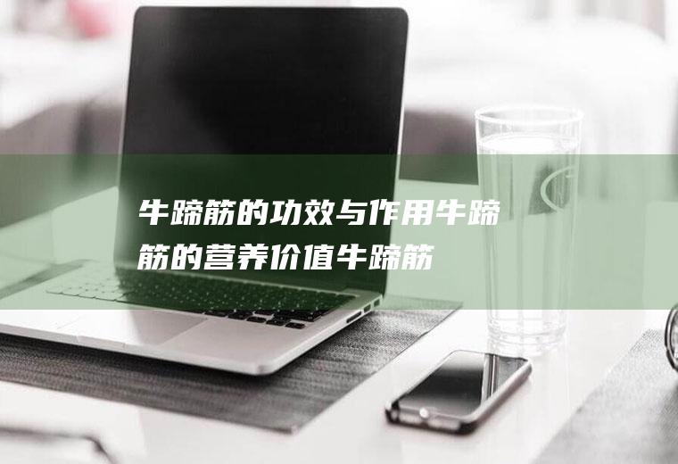 牛蹄筋的功效与作用_牛蹄筋的营养价值_牛蹄筋的食用禁忌