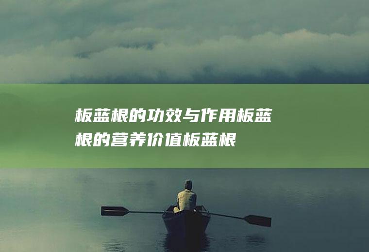 板蓝根的功效与作用_板蓝根的营养价值_板蓝根的食用禁忌