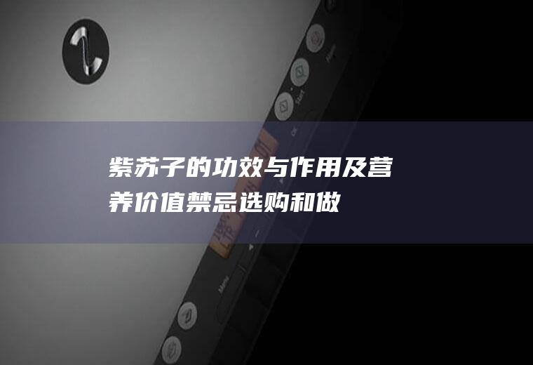 紫苏子的功效与及营养价值禁忌选购和做