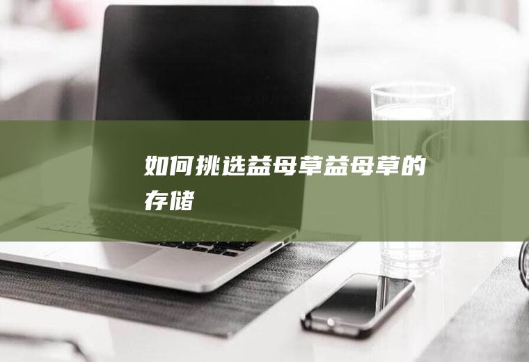 如何挑选益母草_益母草的存储
