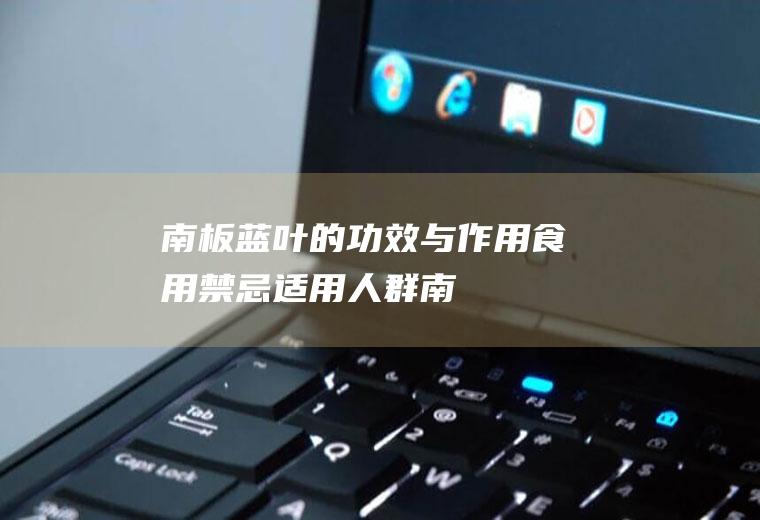 南板蓝叶的功效与作用_食用禁忌_适用人群_南板蓝叶的药用价值