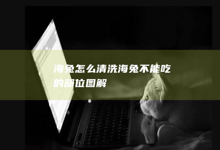 海兔怎么清洗(海兔不能吃的部位图解)