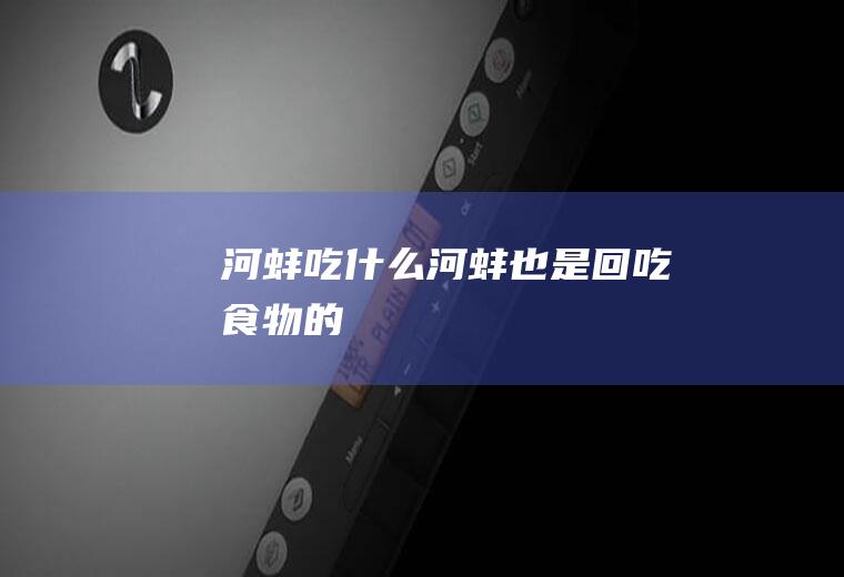 吃什么也是回吃食物的