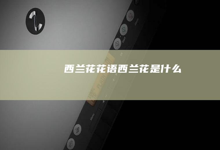 西兰花花语西兰花是什么