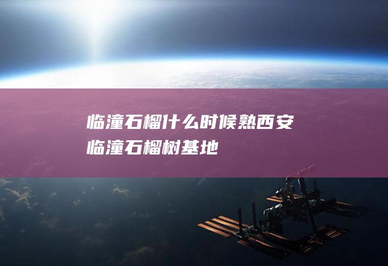临潼石榴什么时候熟(西安临潼石榴树基地)