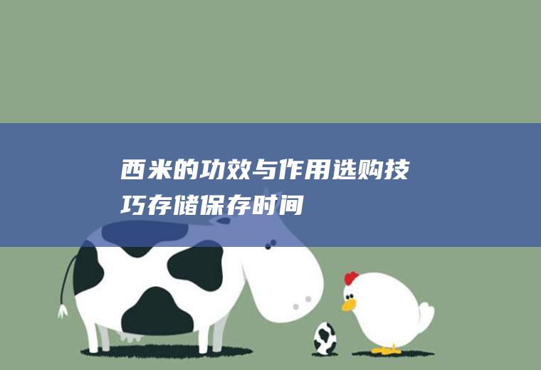 西米的功效与作用_选购技巧_存储_保存时间_制作技巧