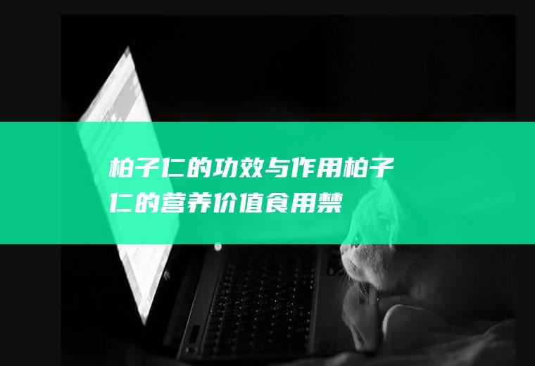 柏子仁的功效与作用_柏子仁的营养价值_食用禁忌_适宜人群