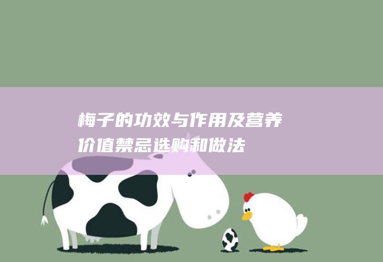 梅子的功效与作用及营养价值_禁忌_选购和做法