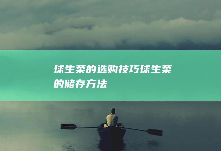 球生菜的选购技巧_球生菜的储存方法