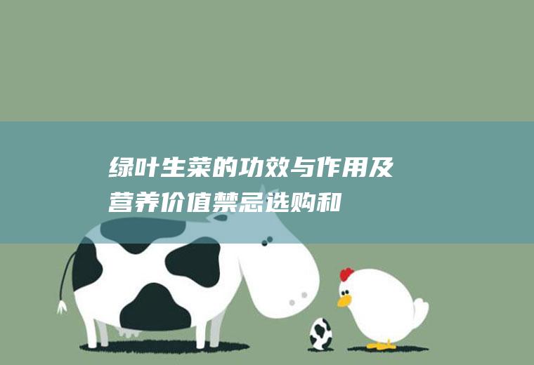 绿叶生菜的功效与作用及营养价值_禁忌_选购和做法