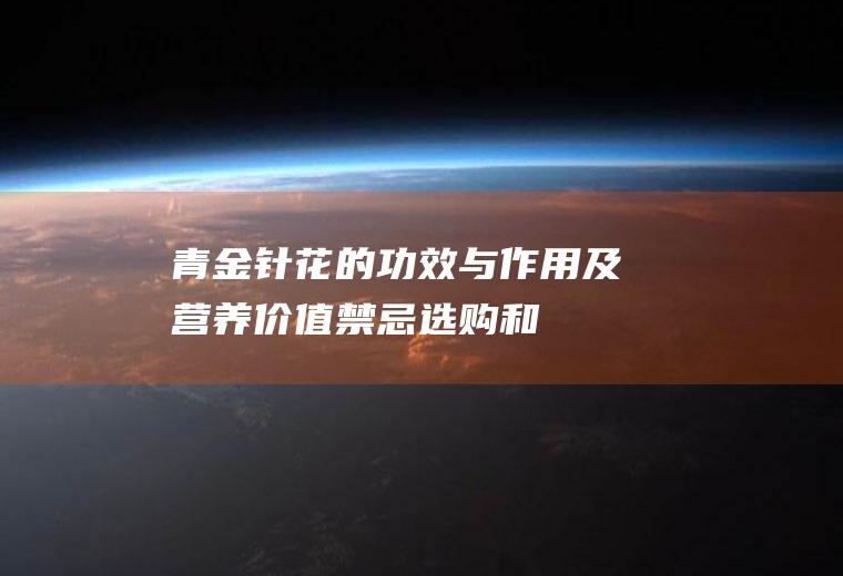 青金针花的功效与作用及营养价值_禁忌_选购和做法