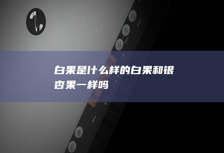 白果是什么样的_白果和银杏果一样吗