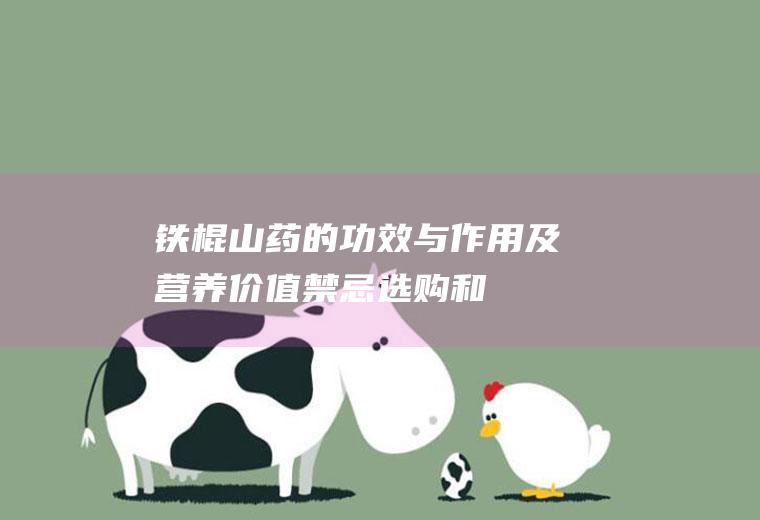 铁棍山药的功效与作用及营养价值_禁忌_选购和做法