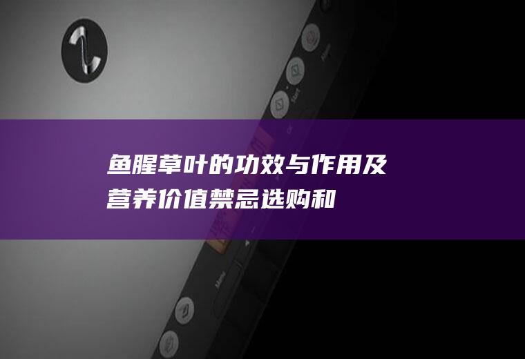 鱼腥草叶的功效与作用及营养价值_禁忌_选购和做法