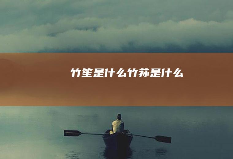 竹笙是什么_竹荪是什么