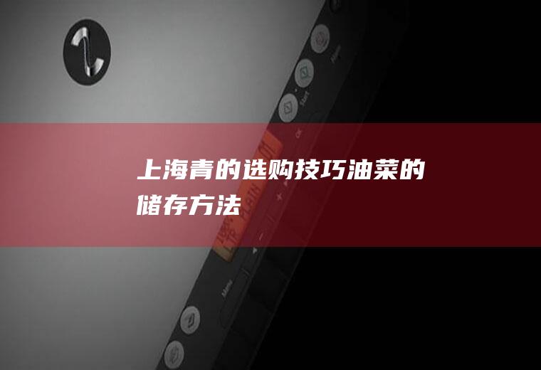 上海青的选购技巧_油菜的储存方法