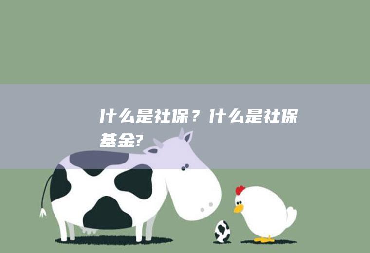 什么是社保？(什么是社保基金?)