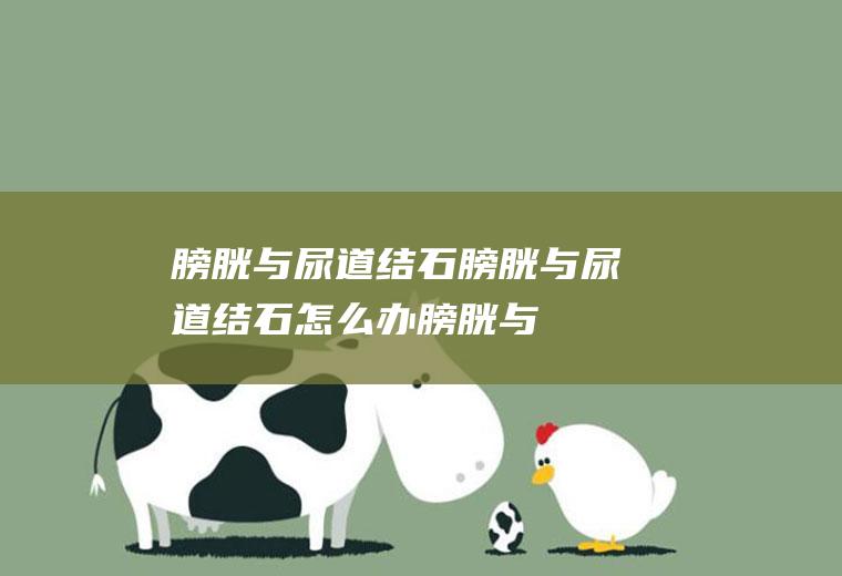 膀胱与尿道结石_膀胱与尿道结石怎么办_膀胱与尿道结石吃什么好_膀胱与尿道结石的症状