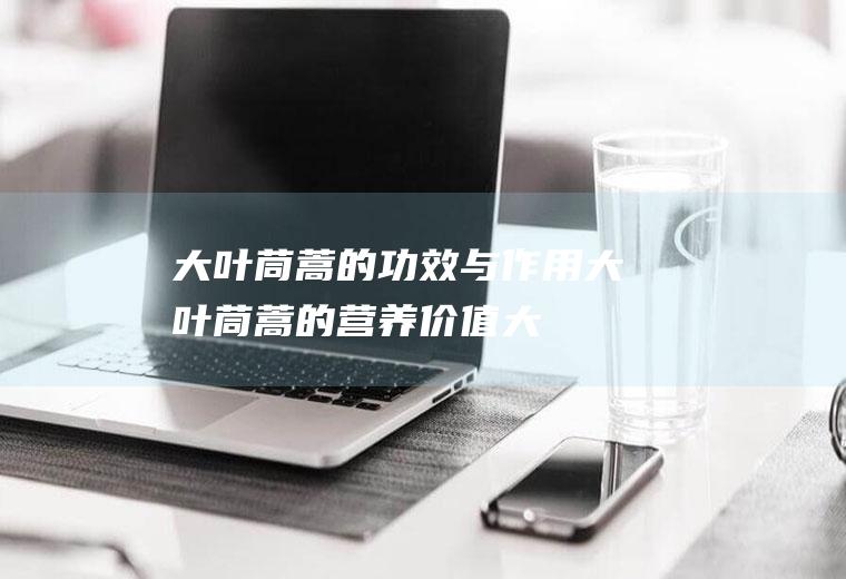 大叶茼蒿的功效与作用_大叶茼蒿的营养价值_大叶茼蒿的适用人群